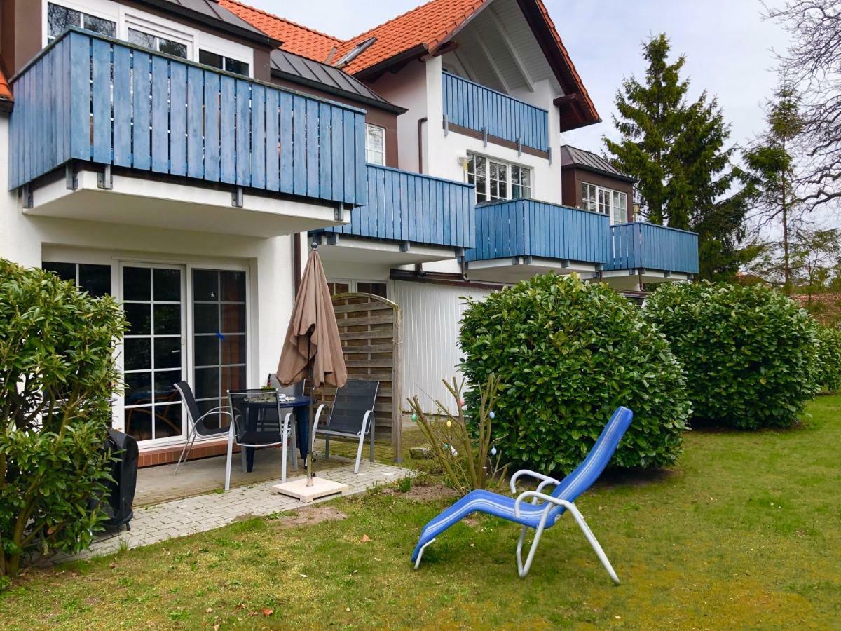 Bernsteinglueck